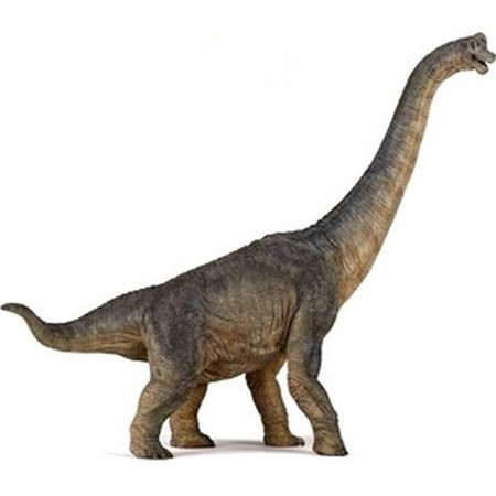 Papo brachiosaura dinosaurus figúrka - KP HRAČKA