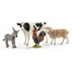 Schleich Farm World štartovacia súprava - KP HRAČKA